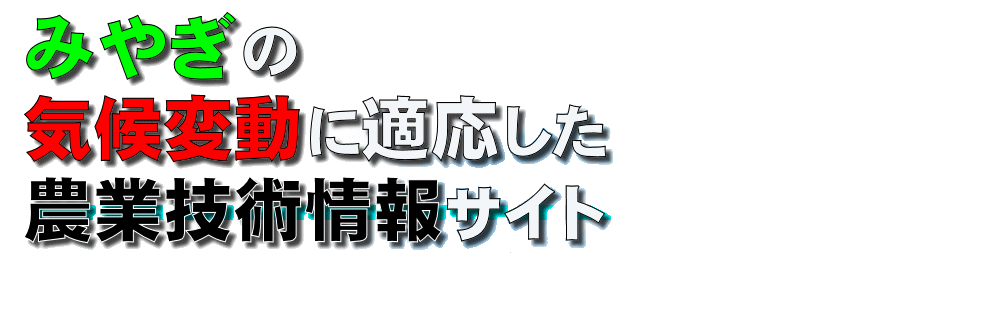 タイトル文字画像